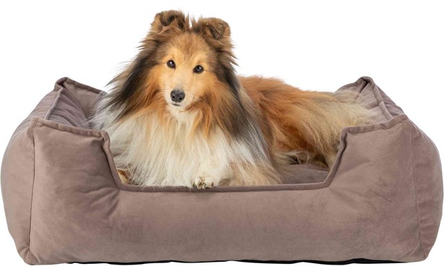 Talia Dog Bed - Brown
