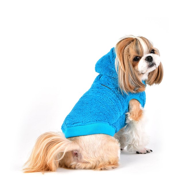 Willa Hundegenser - Aqua