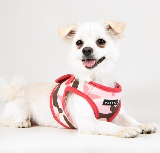 Puppia Lance Hundesele - Pink Camo