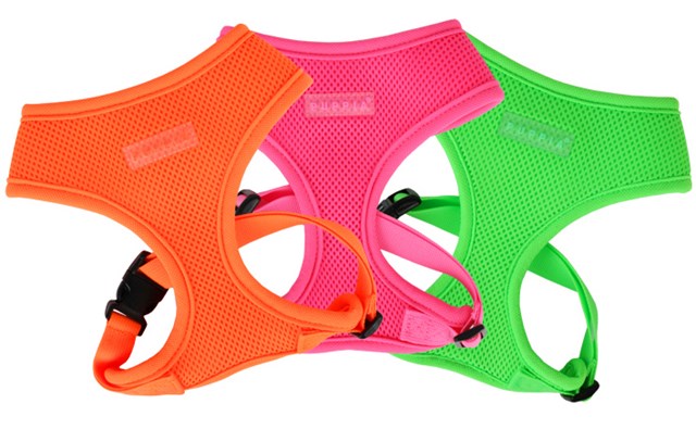 NEON SOFT Green - Hundesele - Large