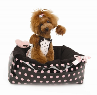 Polkadot Ease Bed Rosa Medium