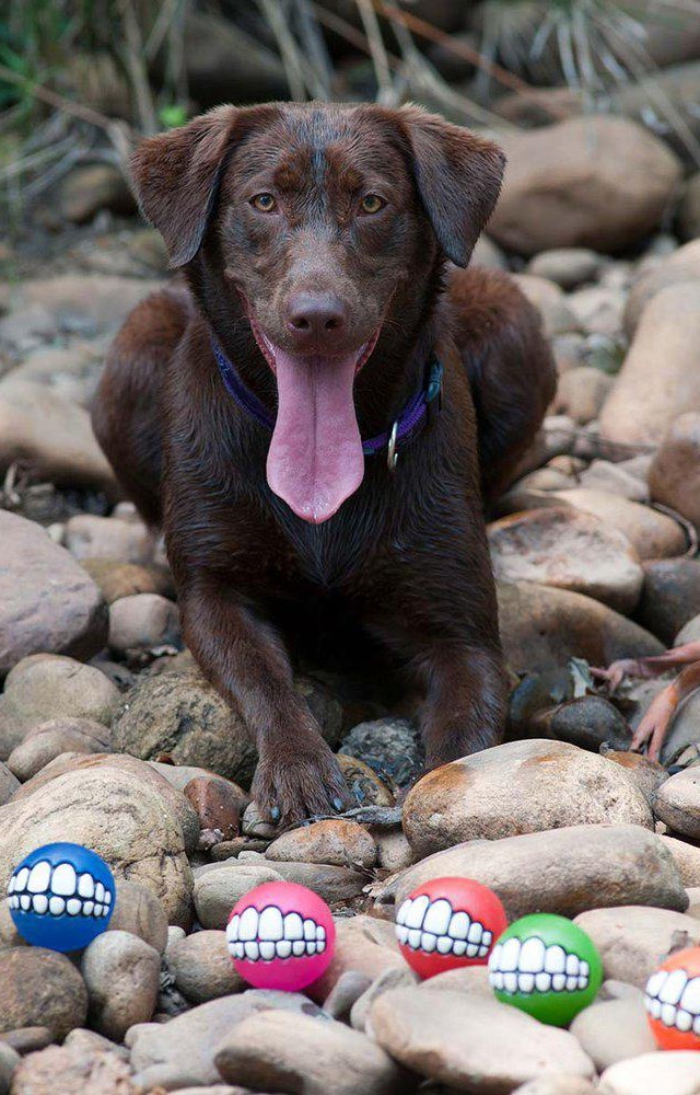 ROGZ GRINZ ROSA FLYTENDE BALL