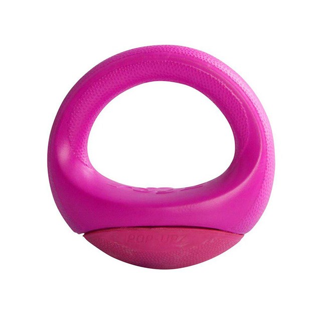 Rogz Pop-upz Rosa - Flytende hundeleke