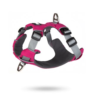 Safe-walk Pro™ - Rosa Hundesele