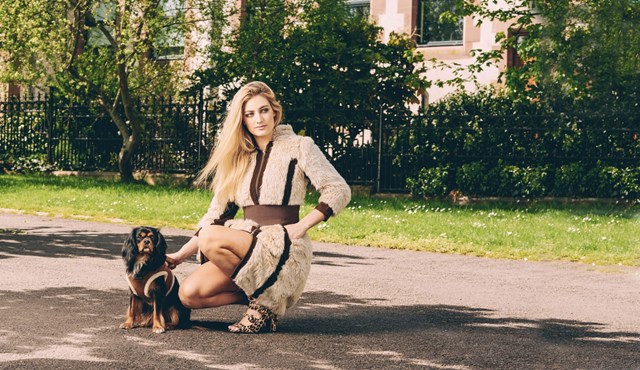 Luxury Brown & Cream Faux Shearling Hundesele