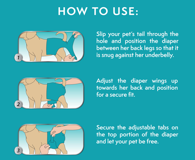 Vaskbar Tispetruse/Bleie - Turkis