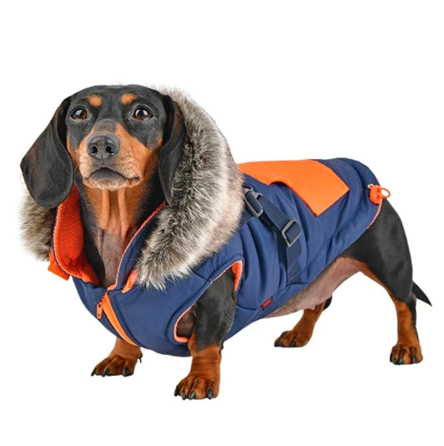 Orson Navy/Orange - Hundedekken med Lue og Integrert Sele