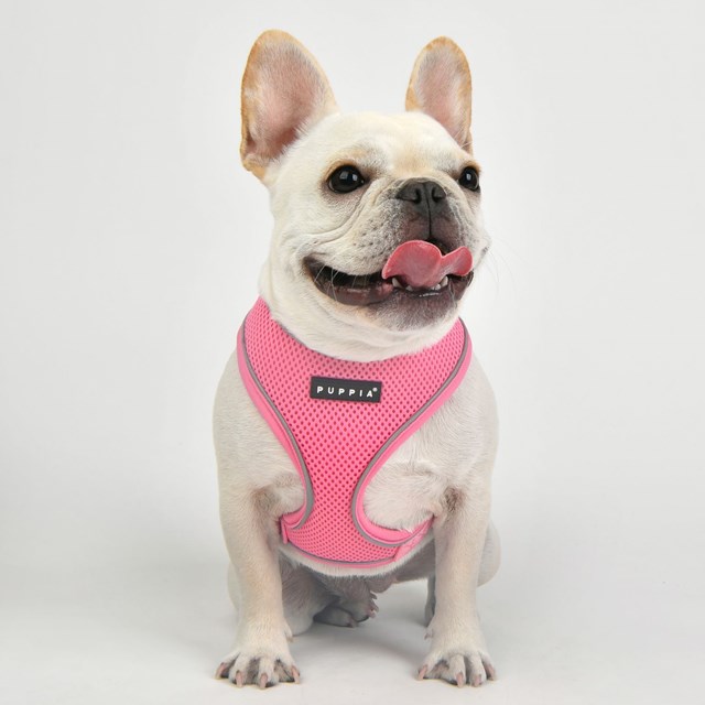 SOFT Harness A PRO Pink - Hundesele - Medium