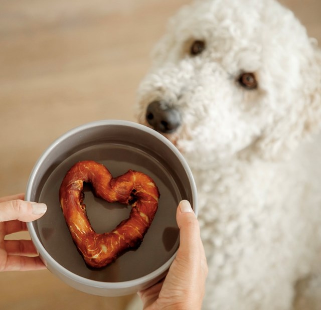 Denta Fun Heart med kyllingbryst 20g