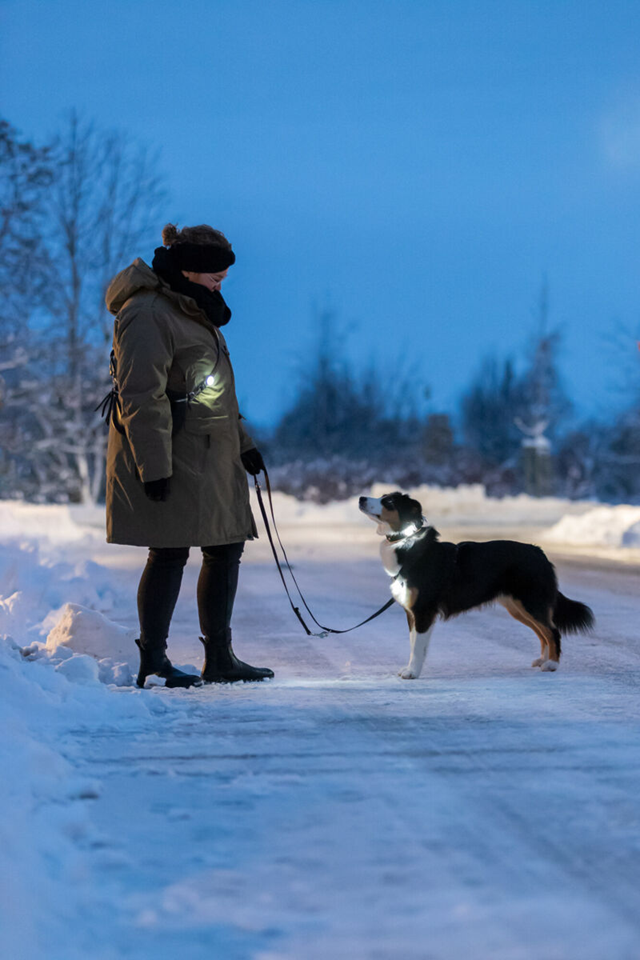 Trixie Flasher USB Lampe