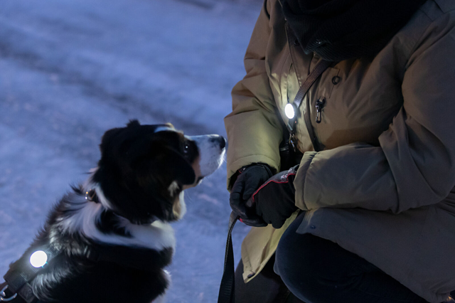 Trixie Flasher USB Lampe