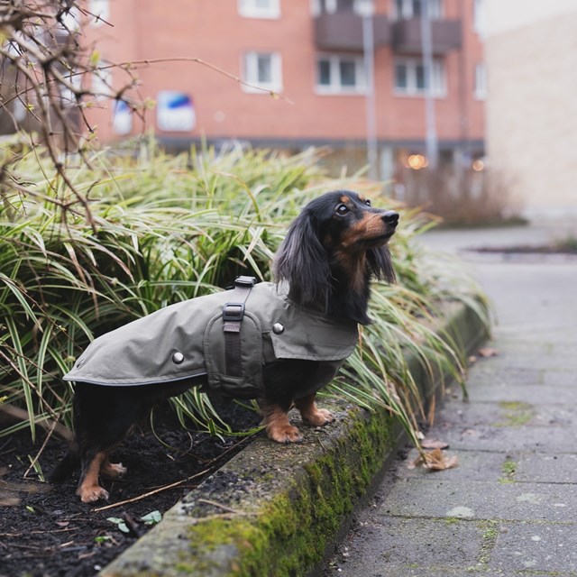 Trixie Hermy Olivengrønn 33 cm
