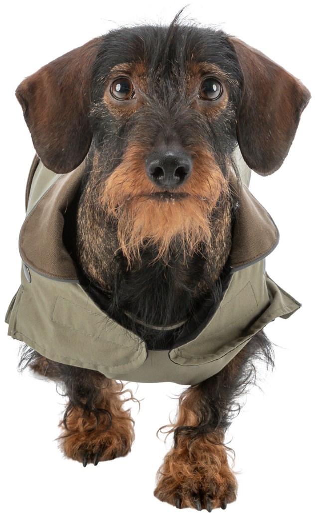 Trixie Hermy Olivengrønn 38 cm