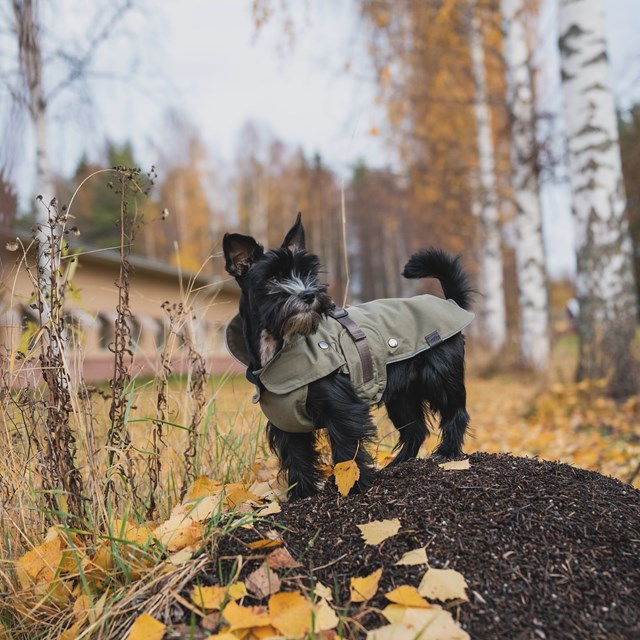 Trixie Hermy Olivengrønn 38 cm