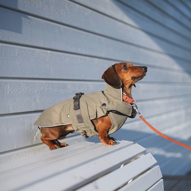 Trixie Hermy Olivengrønn 38 cm