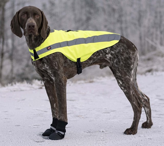 Trixie Hundesko Walker Comfort 2-pack - Svart