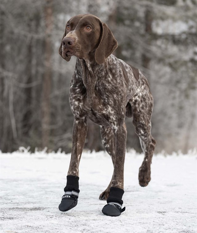 Trixie Hundesko Walker Comfort 2-pack - Svart