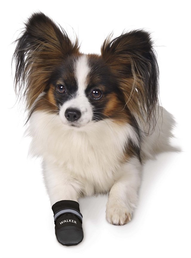 Trixie Hundesko Walker Comfort 2-pack - Svart