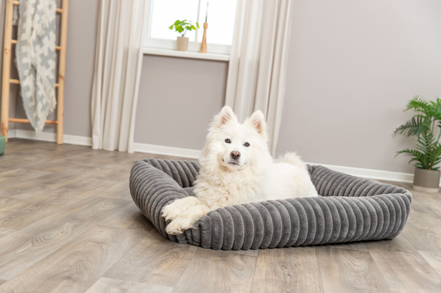 Trixie Lonni Rektangulær Hundeseng - Grå