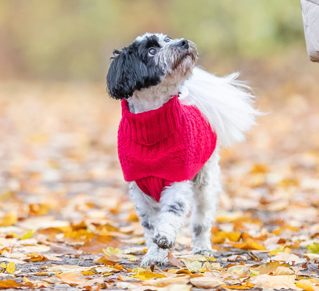 Trixie Norwood Pullover Olivgrønn