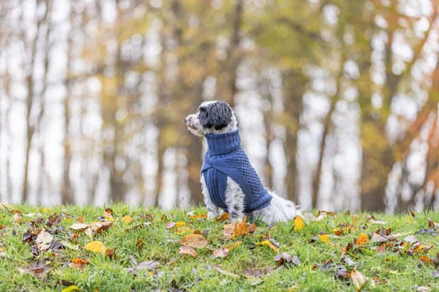 Trixie Norwood Pullover Olivgrønn