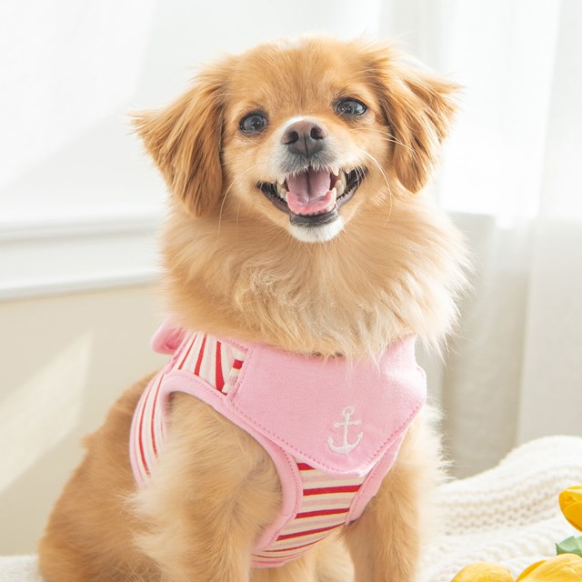 Seaman Pink - Jacket Hundesele