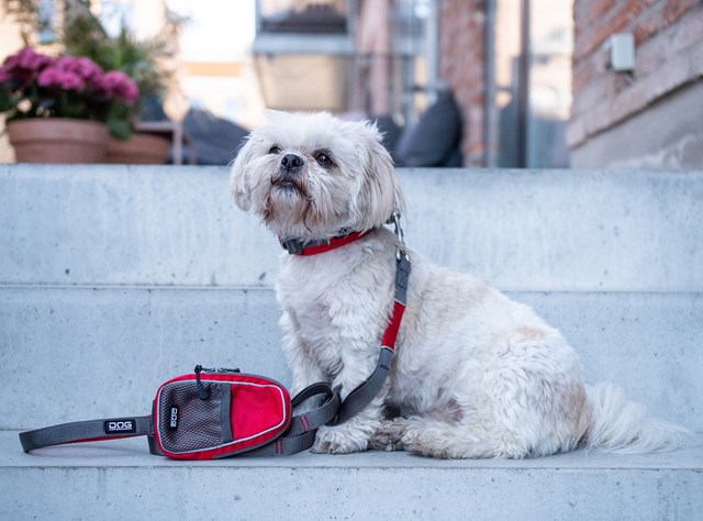Urban Trail Leash Hundekobbel - Classic Red