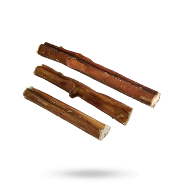 Valpesett med matte, urinflekkfjerner og tyggebein