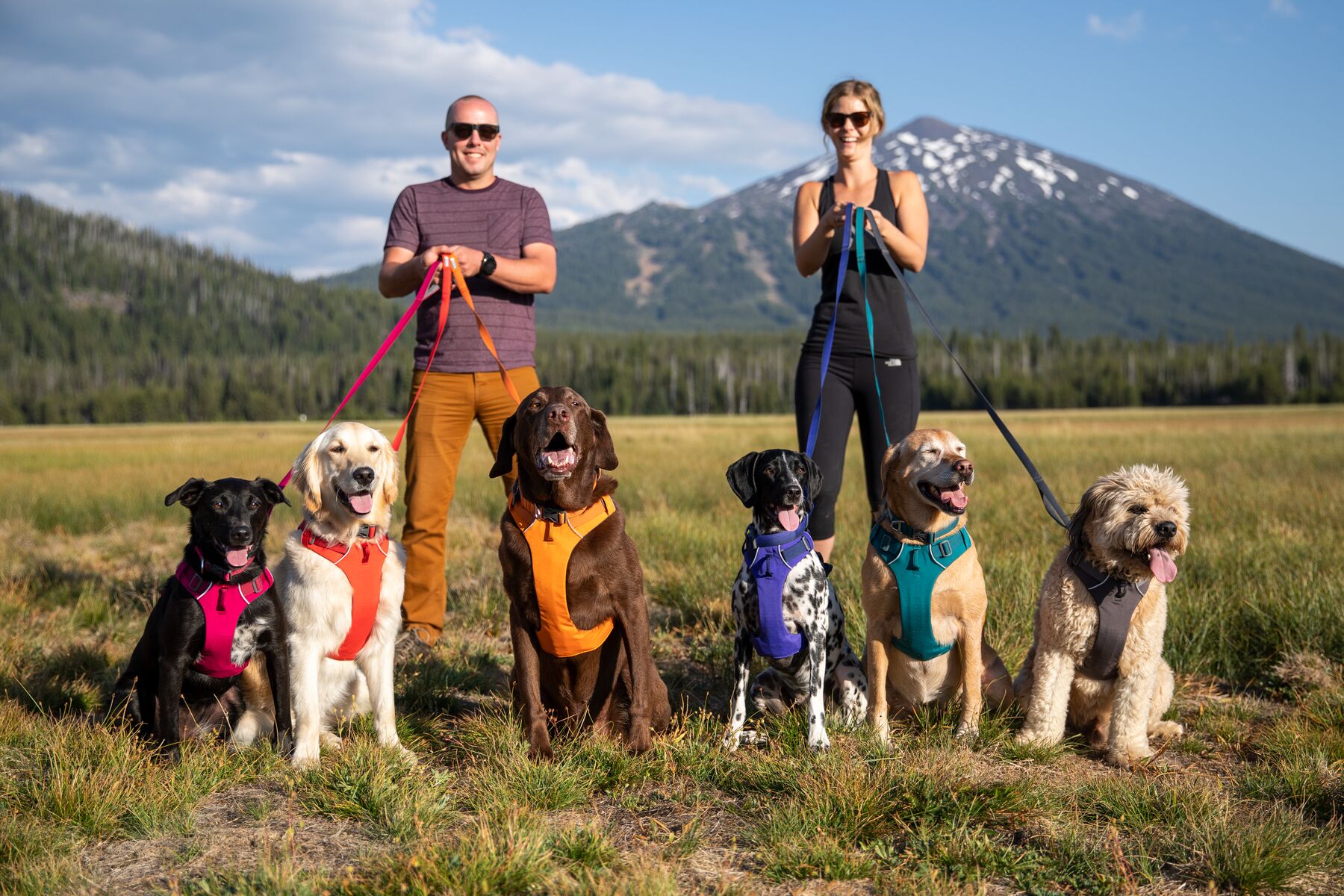 Ruffwear front discount range hundesele