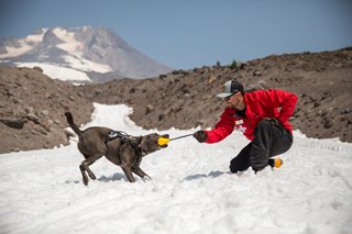 Ruffwear Huck A Cone