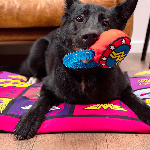 WONDER WOMAN - Teething Ring