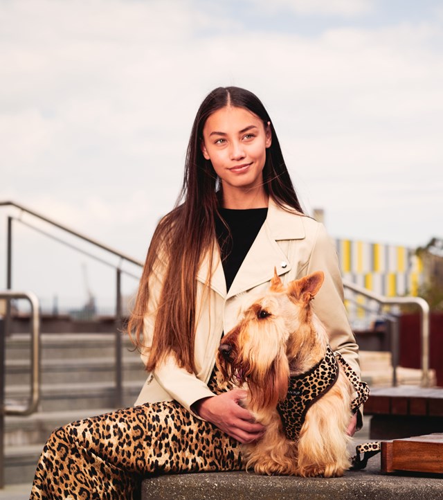 Leopard Hundesele