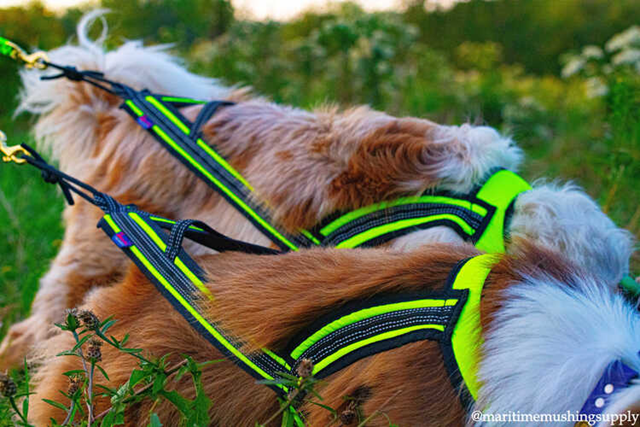 ZERO DC FASTER NEON ORANSJE & SVART