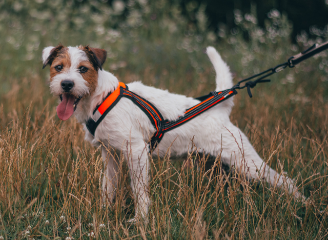 ZERO DC FASTER NEON ORANSJE & SVART