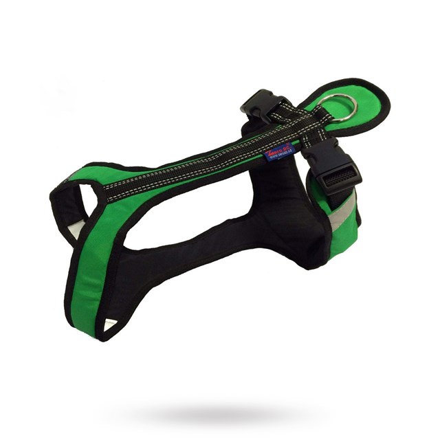 Zero DC Shorter Grønn & Svart