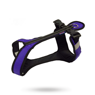 Zero Dc Shorter Lila & Svart