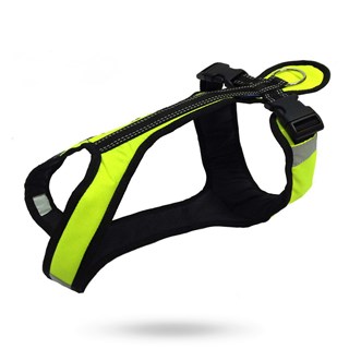 Zero Dc Shorter Neon Green & Black