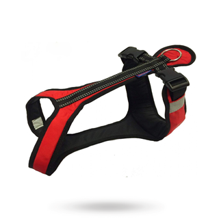 Zero Dc Shorter Rød