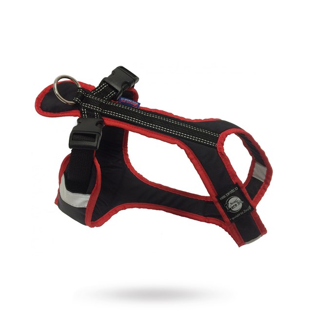 Zero DC Shorter Svart & Rød