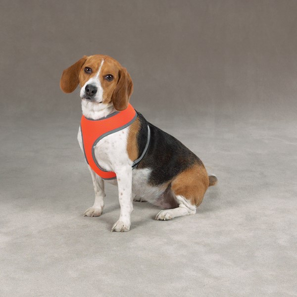 Orange Mesh - Refleks Hundesele Small