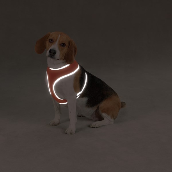 Orange Mesh - Refleks Hundesele Small